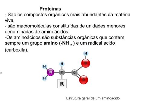 Proteínas Biologia