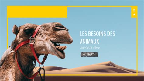 Les Besoins Des Animaux 6eme