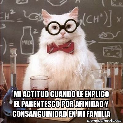 Meme Chemistry Cat Mi Actitud Cuando Le Explico El Parentesco Por