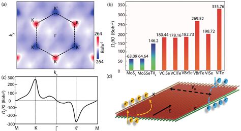 Janus Vxy Monolayers With Tunable Large Berry Curvature