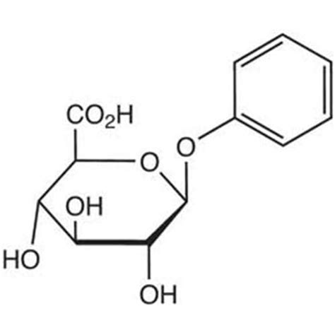 Phenyl Beta D Glucuronic Acid Monohydrate