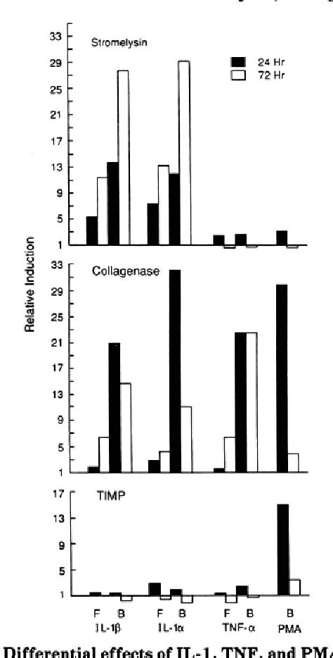 Figure From Discoordinate Expression Of Stromelysin Collagenase And