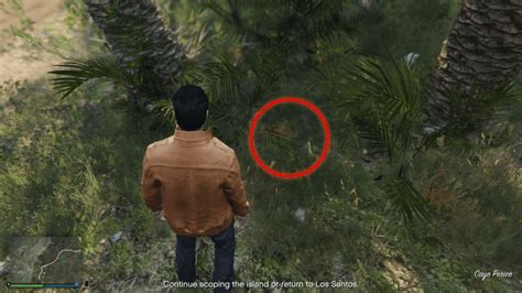 Cayo Perico Treasure Chests Locations Gta Boom