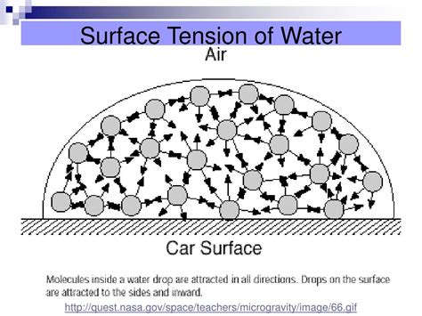 How To Find Surface Tension With Water At Raymond Polizzi Blog