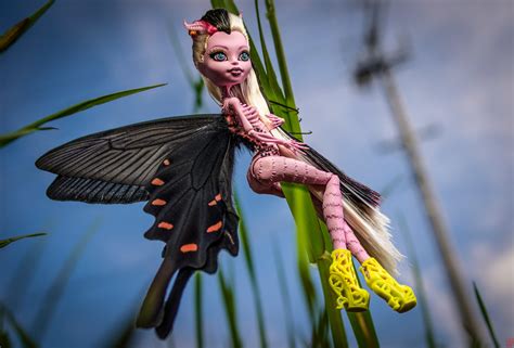 Bonita Femur | 森林 樹木 | Flickr