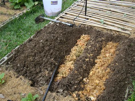 Qu Es Bokashi Y C Mo Usar Este S Per Fertilizante Consejos Para Mi