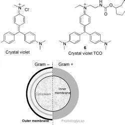 A) Chemical structure of crystal violet (left) and the new ...