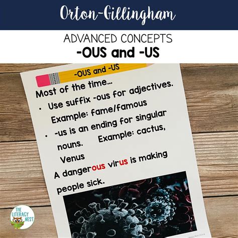 Suffix OUS And US For Advanced Orton Gillingham Activities The