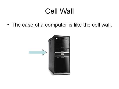 cell analogy computer cell wall  case
