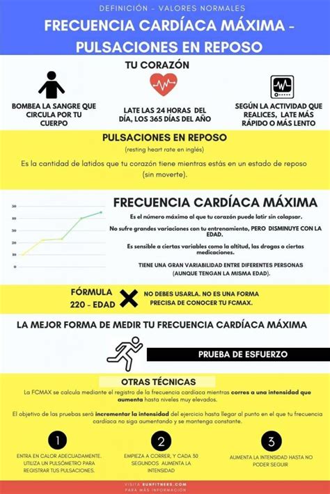 Qué Es Y Como Calcular La Frecuencia CardÍaca MÁxima Bonus