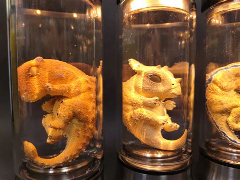 Jurassic Park Dinosaur Embryo Jar Zodern