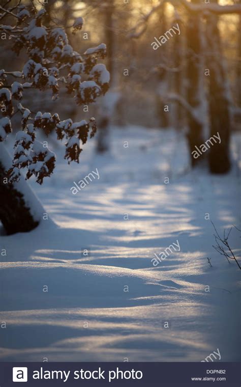 Doeberitz Doeberitz Heath Hi Res Stock Photography And Images Alamy