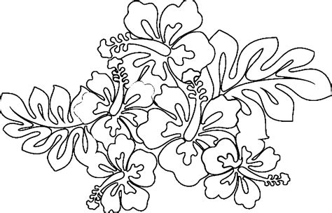 Hawaii Flower Coloring Pages