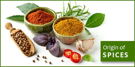 Origin and History of Spices | Organic Spices Manufacturers in India