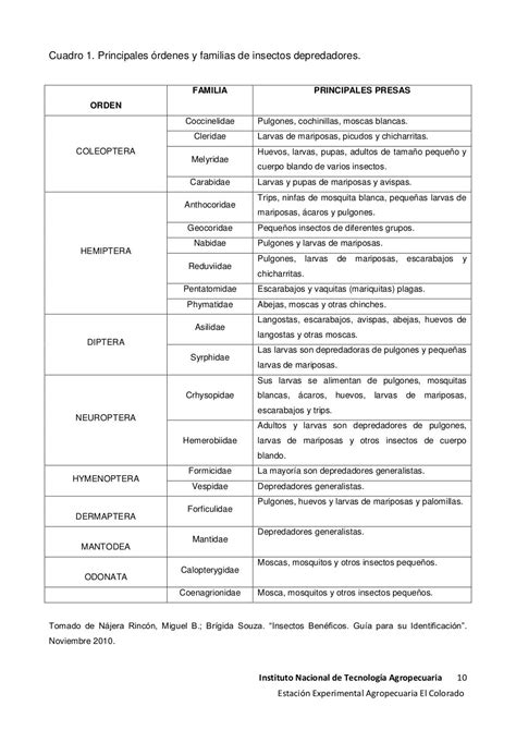 Insectos Identificacion Insectos Y Control Orgánico