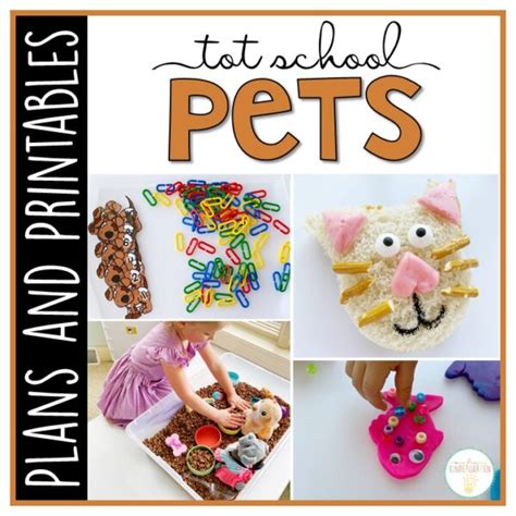 Tot School Pets Plans And Printables Mrs Plemons Kindergarten