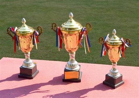 Host a Golf Tournament Awards Ceremony Reception Dinner | Event Caddy