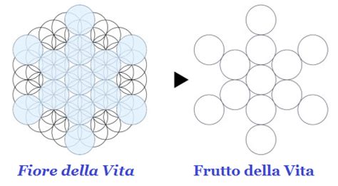 Il Fiore Della Vita Lo Schema Della Creazione Riccamente