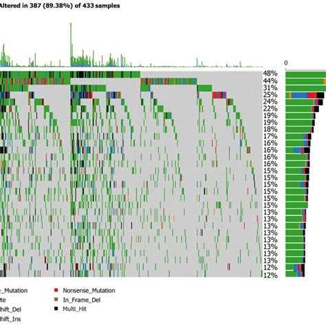 Clinical Significance Of Tumor Mutation Burden In Gastric Cancer