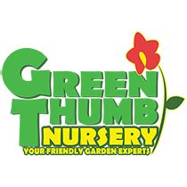 Persimmons - Green Thumb Nursery