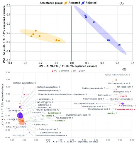 Bootstrapped PLS DA Biplot For Acceptance Classification A Score