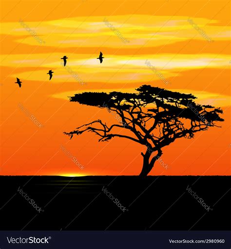 Sunset Tree And Birds Silhouettes Royalty Free Vector Image