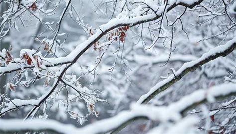 寒潮来了大暴雪来了 南方近10省份将有大到暴雪 包小可