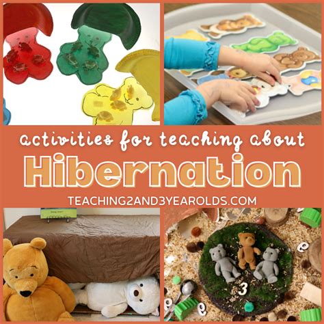 Toddler And Preschool Hibernation Theme Activities