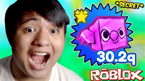 New Doodle Parrot Secret Pet New Update Pet Simulator X Roblox