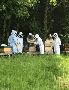 Join our New Beekeeper Training 2025 - British Bee Charity