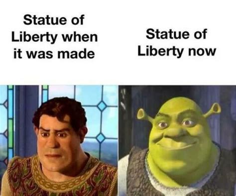 Shrek Memes Are Taking The Internet By Storm And Here Are 31 Of The ...