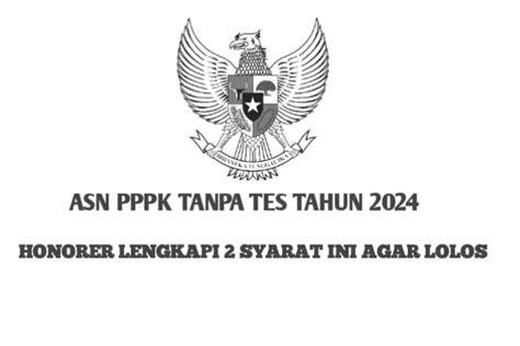 ASN PPPK TANPA TES TAHUN 2024 Honorer Lengkapi 2 Syarat Ini Agar Lolos