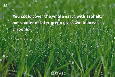 77 Green Quotes Inspiring Renewal And Conservation 2024