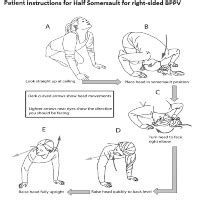 Half Somersault Maneuver