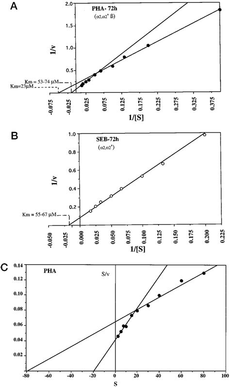 Kinetic Analysis Of Mat In Pha And Seb Activated Pbmc Extracts From