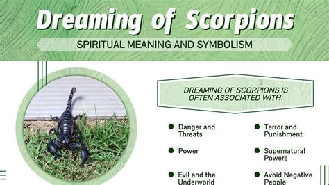 The Biblical Significance Of Killing A Scorpion In Dreams John