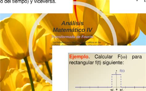 Análisis Matemático IV by Elvia Pérez Barturén on Prezi