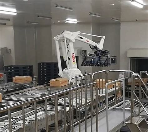 Robot Palletizing System Stacking Automatic Multi Degree Arm Robotic