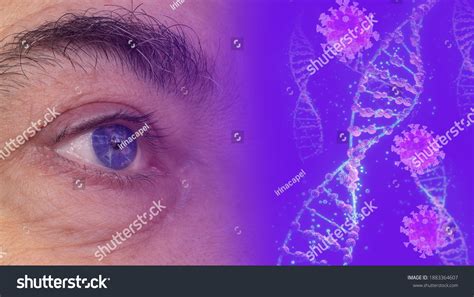 7,636 Eye genetics Images, Stock Photos & Vectors | Shutterstock