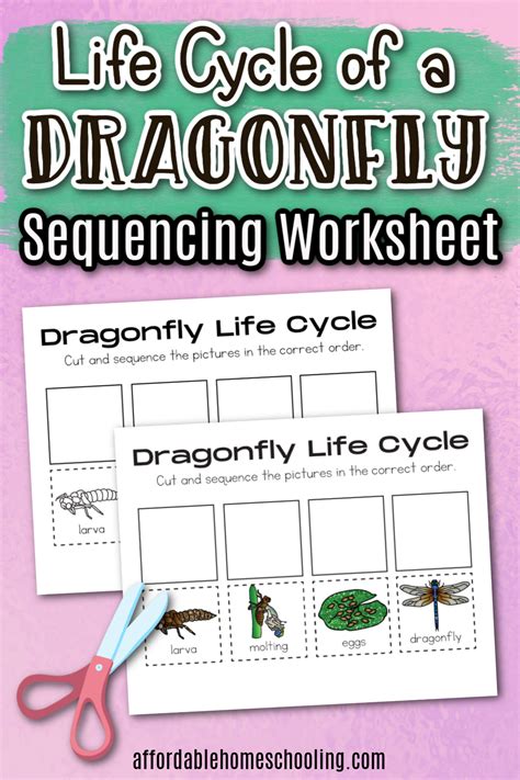 Dragonfly Life Cycle Worksheet