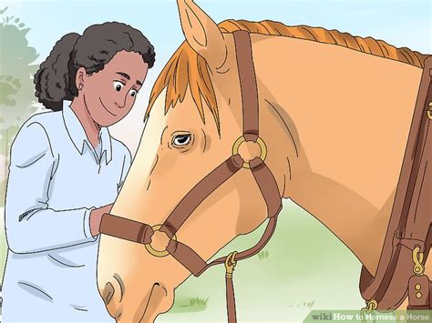 How To Harness A Horse 15 Steps With Pictures Wikihow