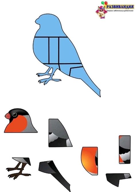 A Blue Bird Sitting On Top Of A Piece Of Paper With Different Shapes