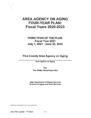 Fillable Online Blue Rivers Area Agency On Aging Four Year Area Plan FY