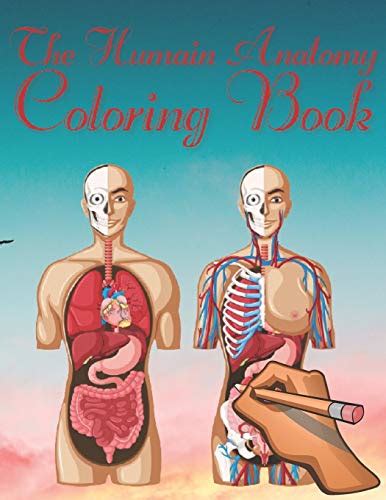 The Humain Anatomy Coloring Book Coloring Book For Neuroscience Perfect T For Medical