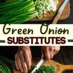 Best Green Onion Substitutes To Use In Your Meals Insanely Good