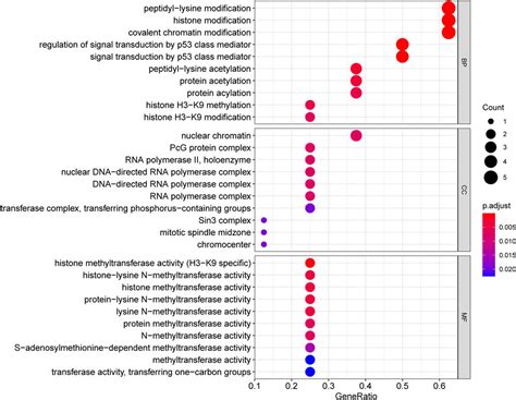 Frontiers Identification Of A Chromatin Regulator Signature And Potential Prognostic Ability