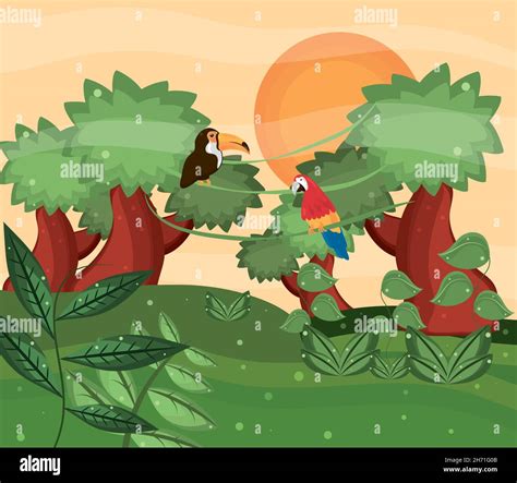 exotic birds in jungle Stock Vector Image & Art - Alamy