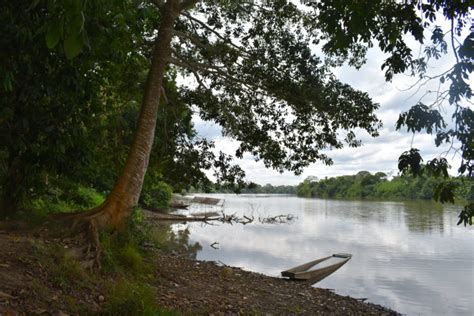 Los asentamientos ilegales terminan con la Reserva Forestal El Choré en