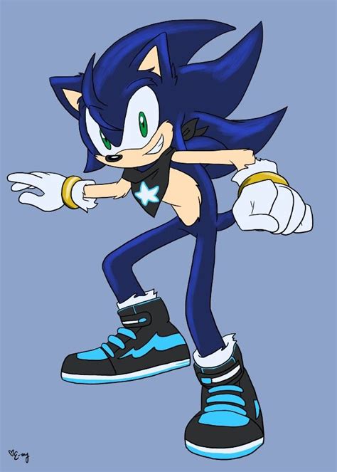 Sonic Fan Character By E Vay Sonic Fan Characters Sonic Adventure