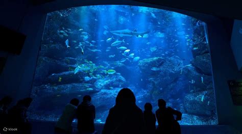 Sumida Aquarium And Tokyo Skytree® Admission Combo Ticket Tokyo Japan